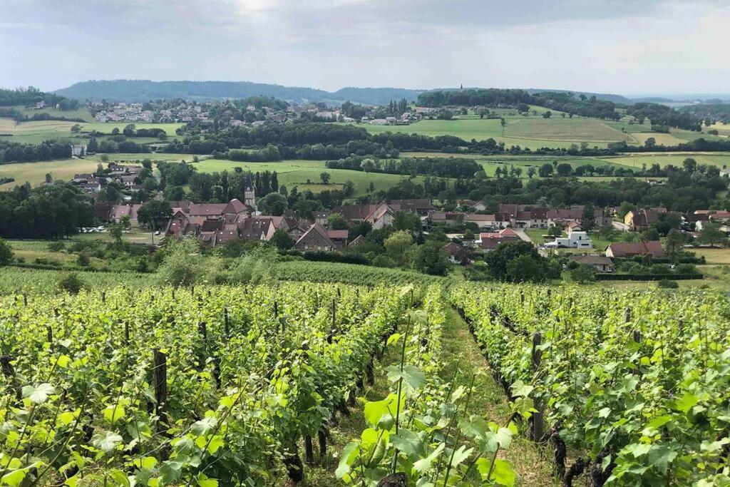 Maison au cœur du vignoble Jurassien 90 m2 Lavigny Extérieur photo