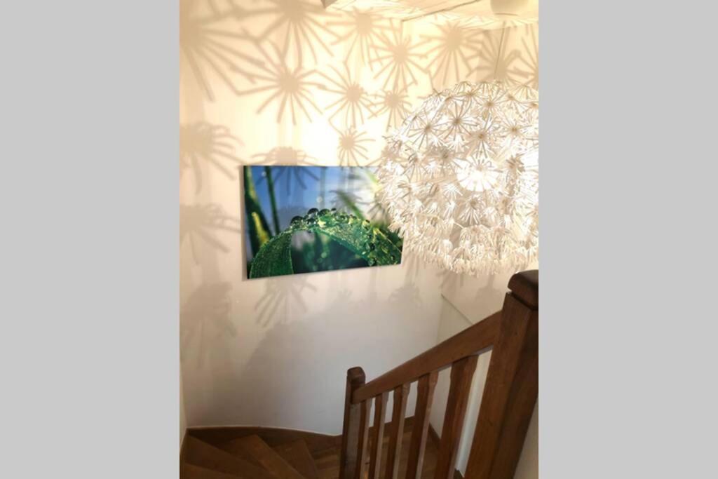 Maison au cœur du vignoble Jurassien 90 m2 Lavigny Extérieur photo